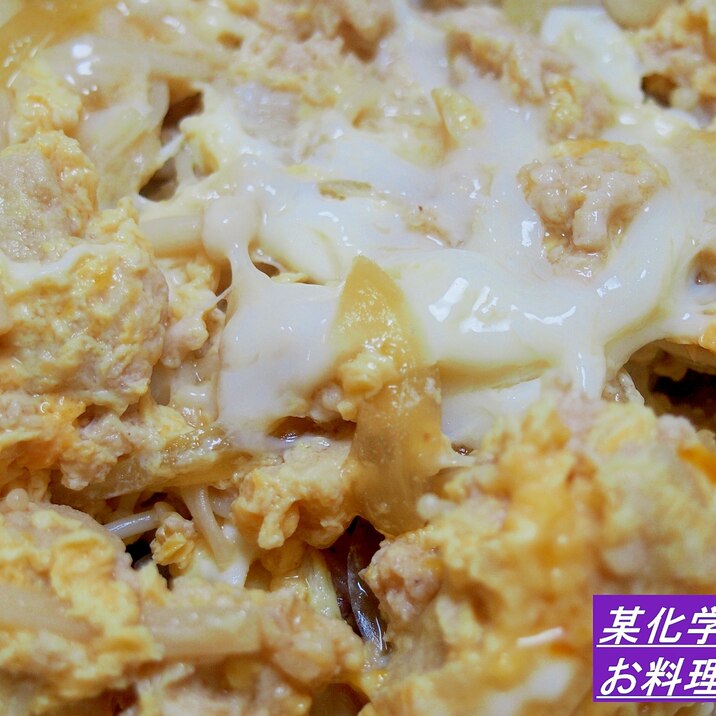 安い!うまい!!高野豆腐と鶏ひき肉の親子丼